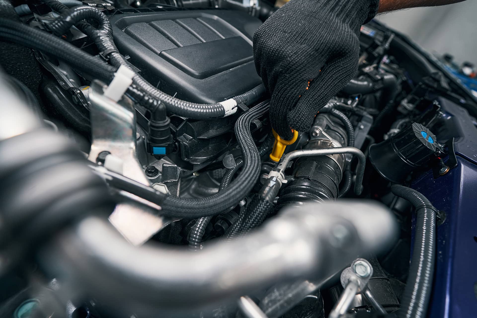 auto repair professional checking oil level with d 2021 09 07 21 01 16 utc
